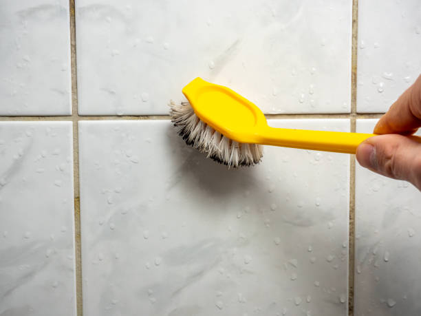 Best Mold Remediation  in West Point, KY