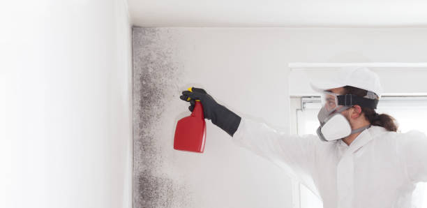 Best Crawl Space Mold Removal  in West Point, KY