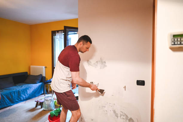 Best Black Mold Removal  in West Point, KY